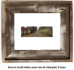 horse trail rides near me in Murphy, Texas